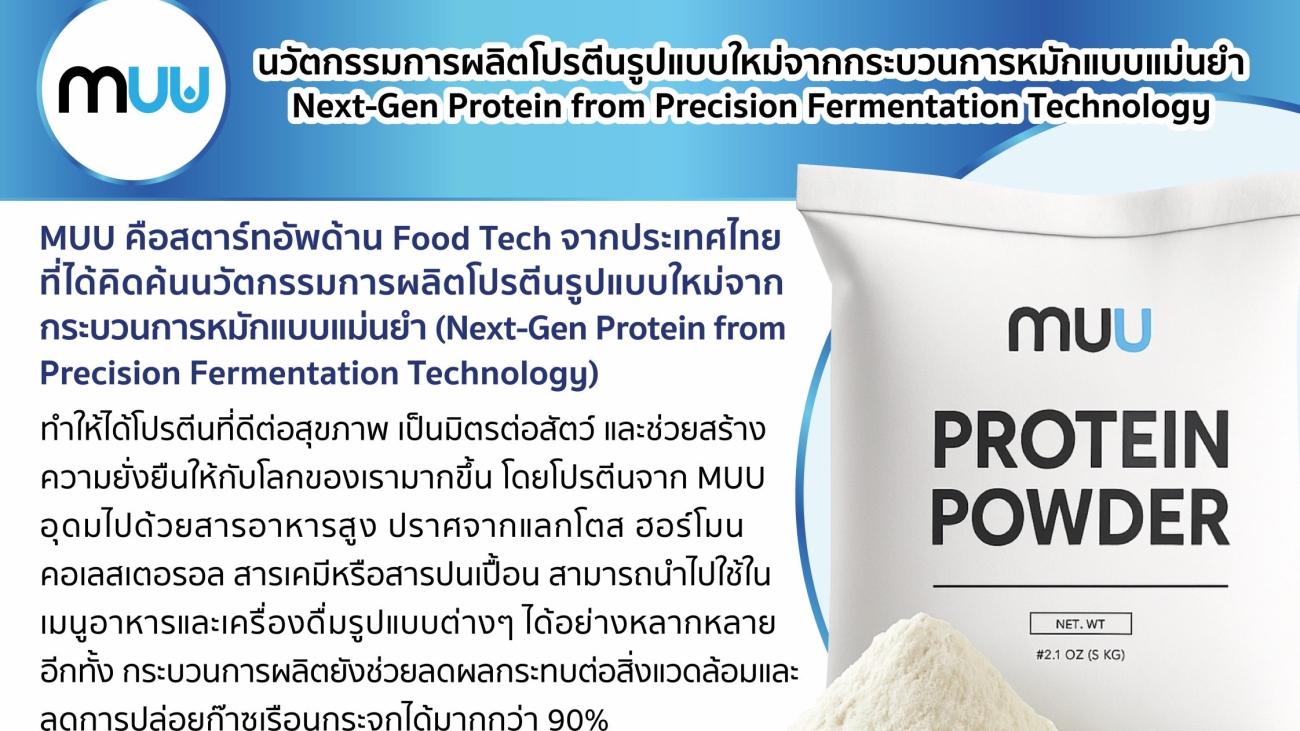 MUU Protein